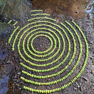 Meee Moments #76 – All Change!